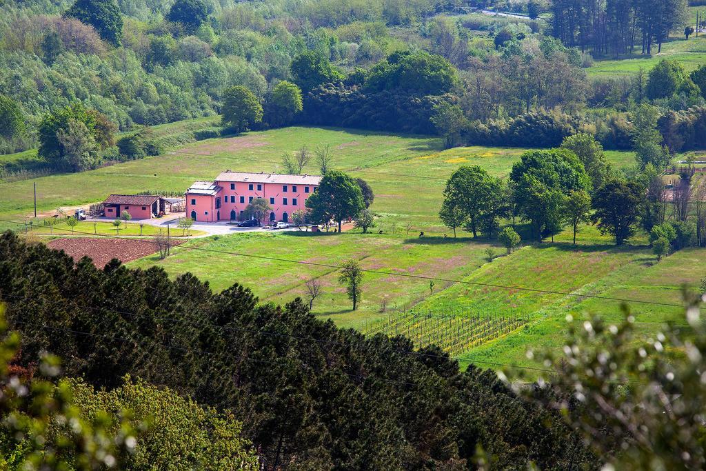 Tenuta San Giovanni Lucca Luaran gambar